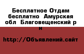 Бесплатное Отдам бесплатно. Амурская обл.,Благовещенский р-н